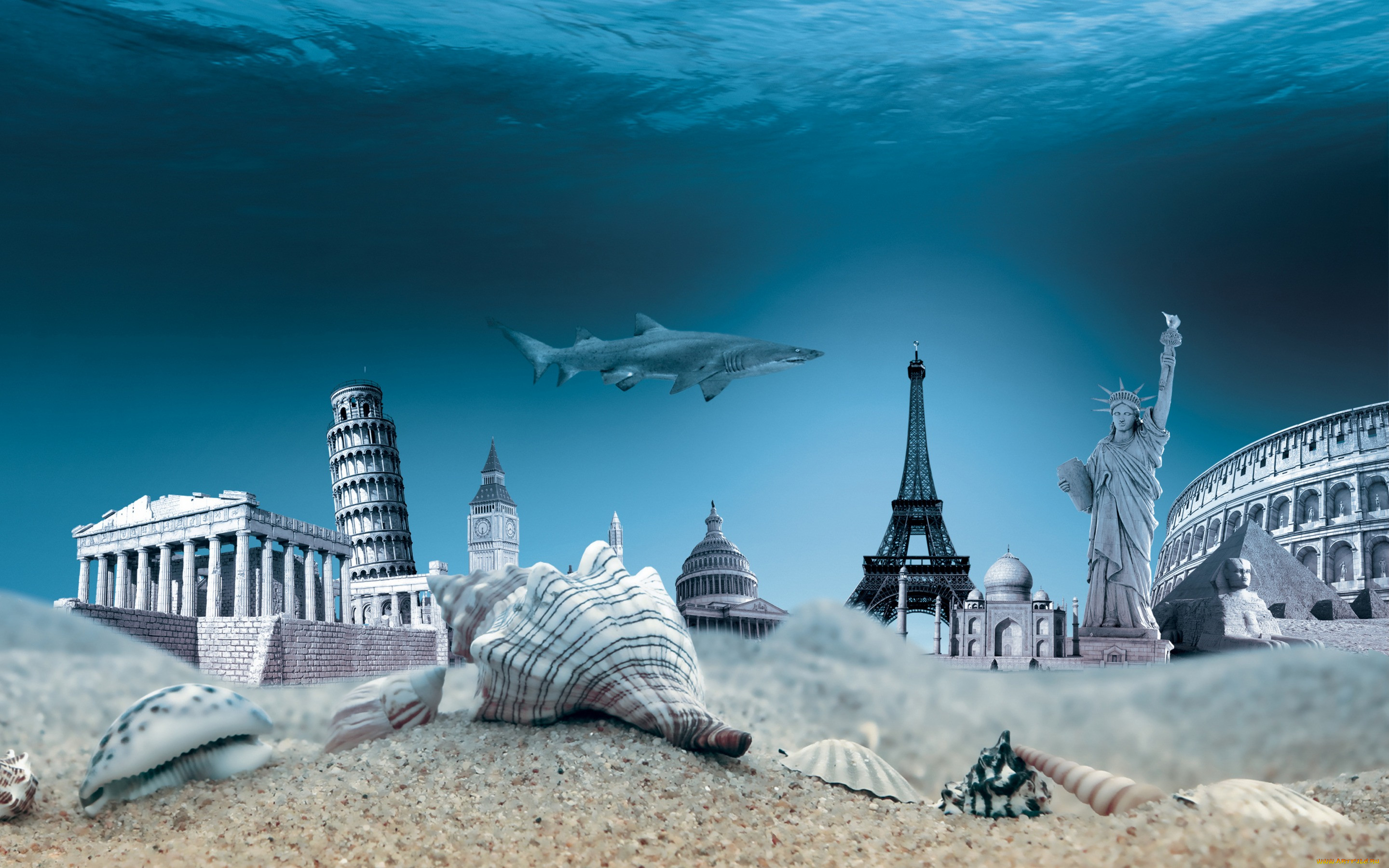 ,  , seashells, world, travel, ocean, , underwater, , 